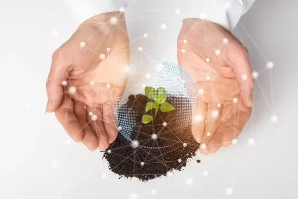 Importancia de la sostenibilidad empresarial