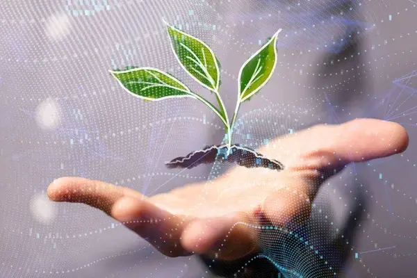 Sistema de Gestión Ambiental