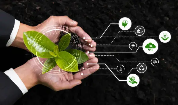 sostenibilidad empresarial